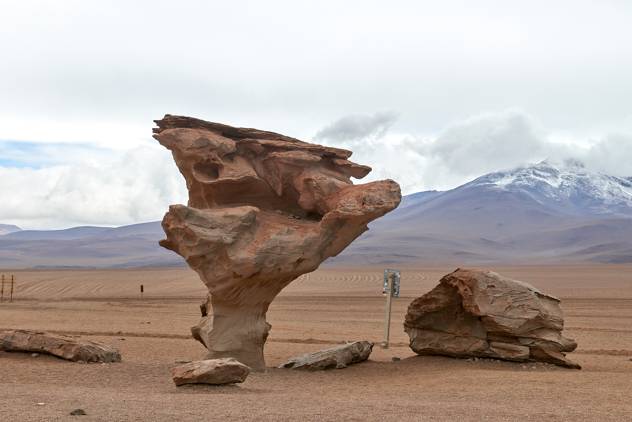 20200313 512 [볼리비아] 아르볼 데 삐에드라 돌 나무